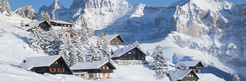 Skiurlaub in der Schweiz: Skireisen 2024/2025  Frosch Sportreisen