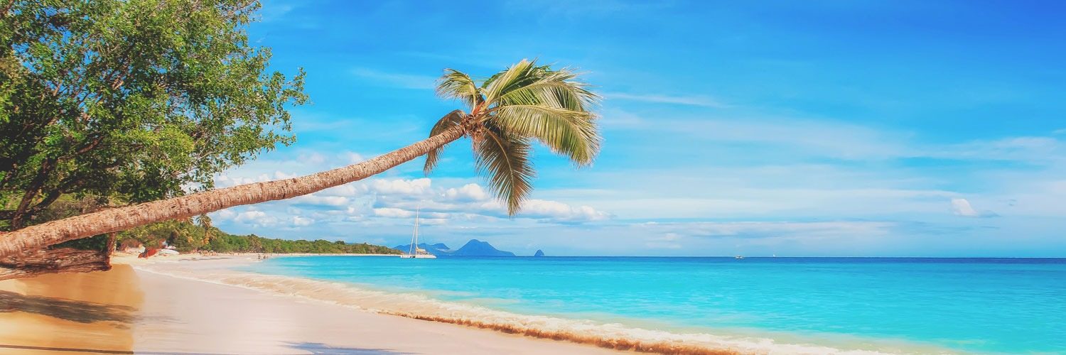 Eine Palme am sonnigen Strand mit türkisblauem Wasser