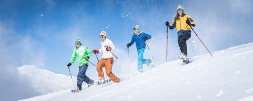 Gruppe Schneeschuhwanderer