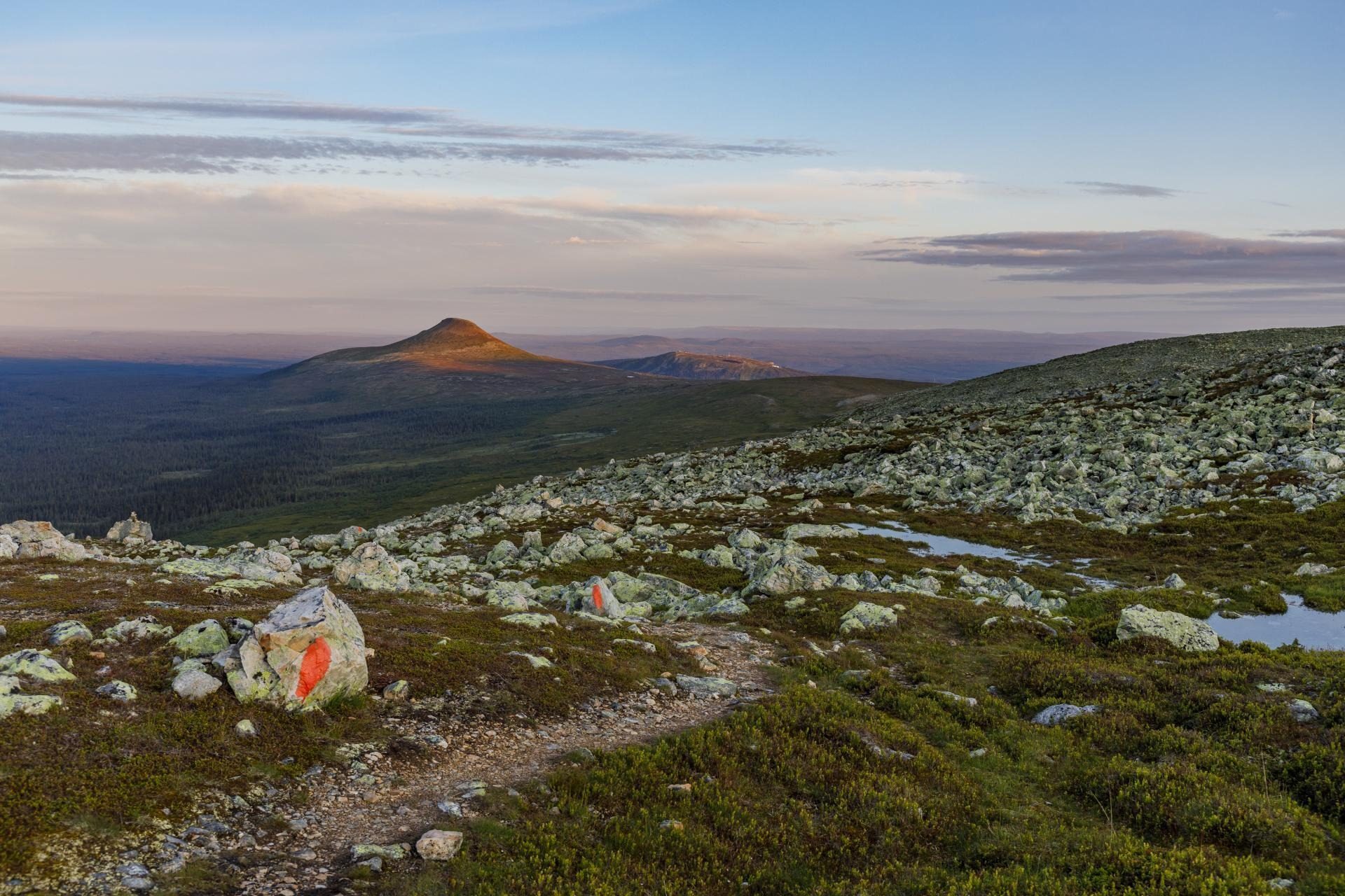 Aussicht in der Landschaft Schwedens