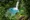 Wasserfall