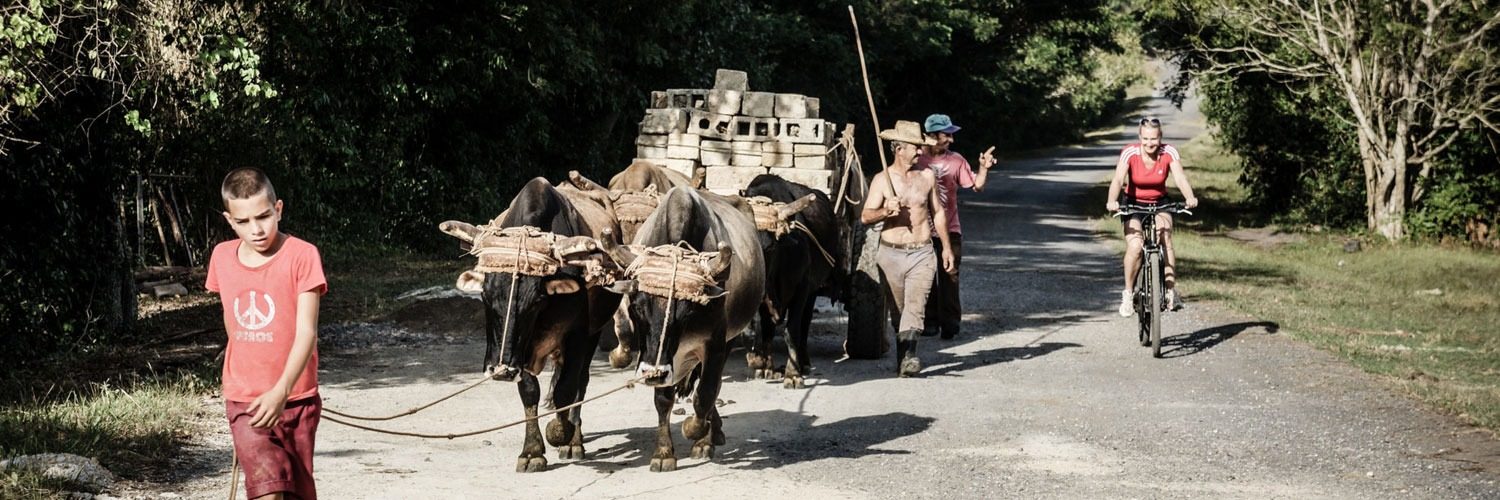 Junge mit Eselkarren
