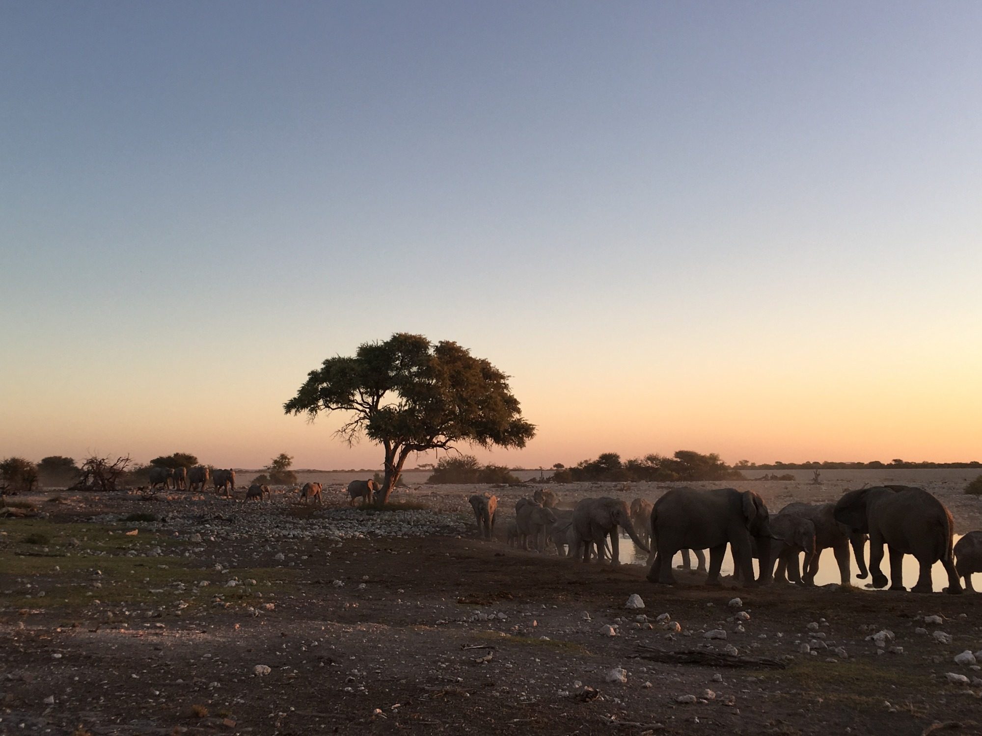Etosha Nationalpark
