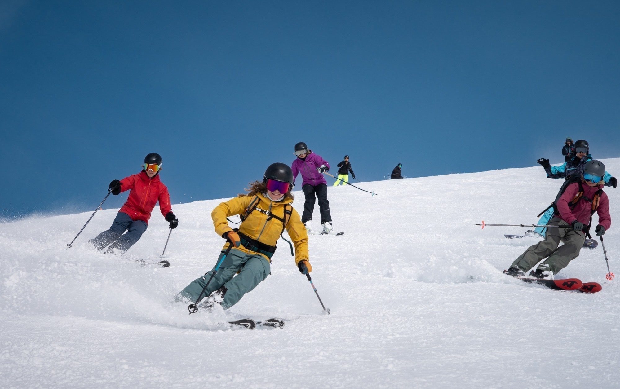 Mit Frosch gemeinsam die Piste herunterfahren