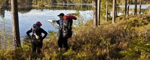 Eine Exkursion in das Naturreservat Glaskogen