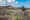 Biker in Landschaft