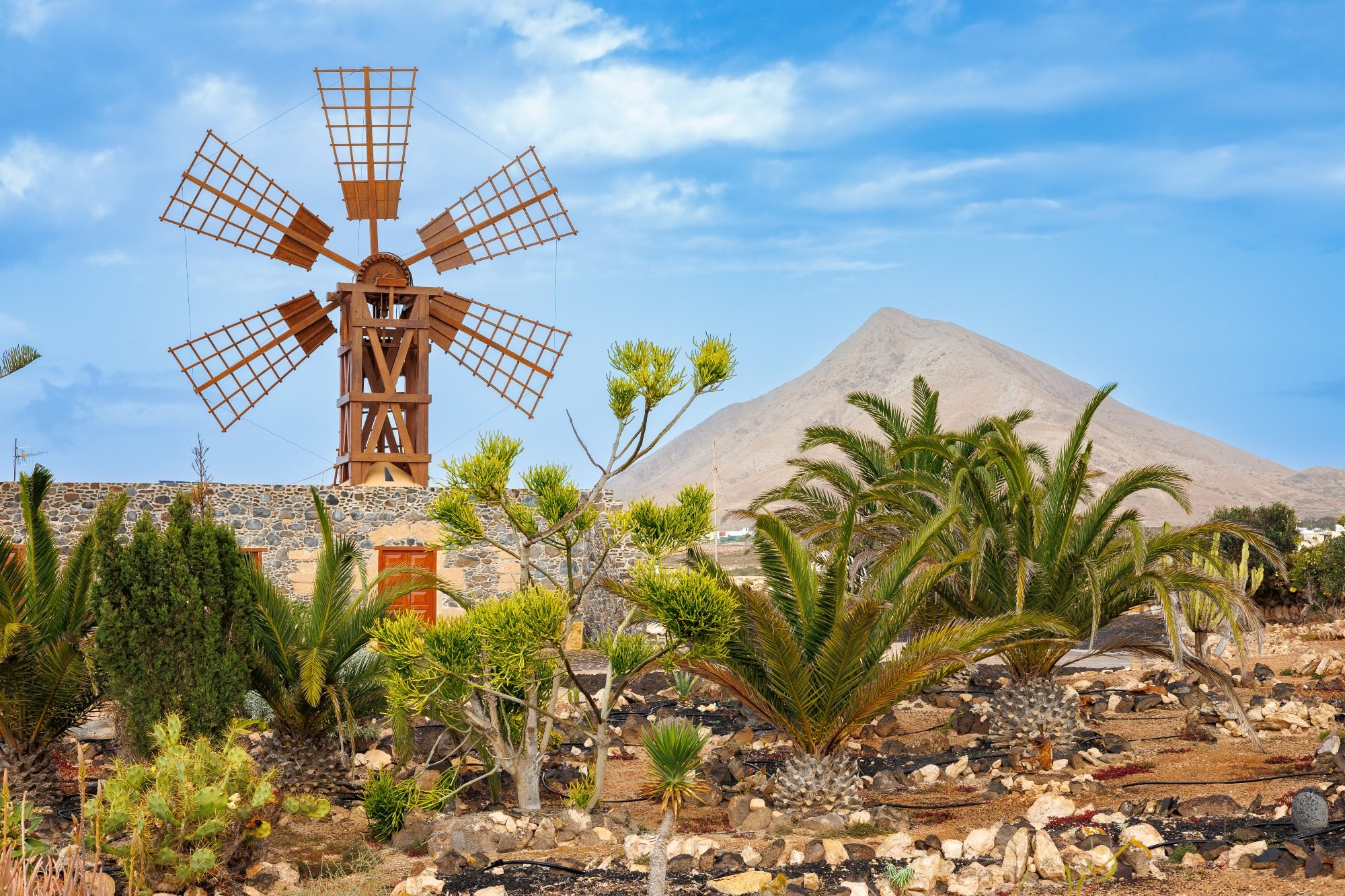 Windmühle in Fuerteventura