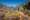 Wanderin
