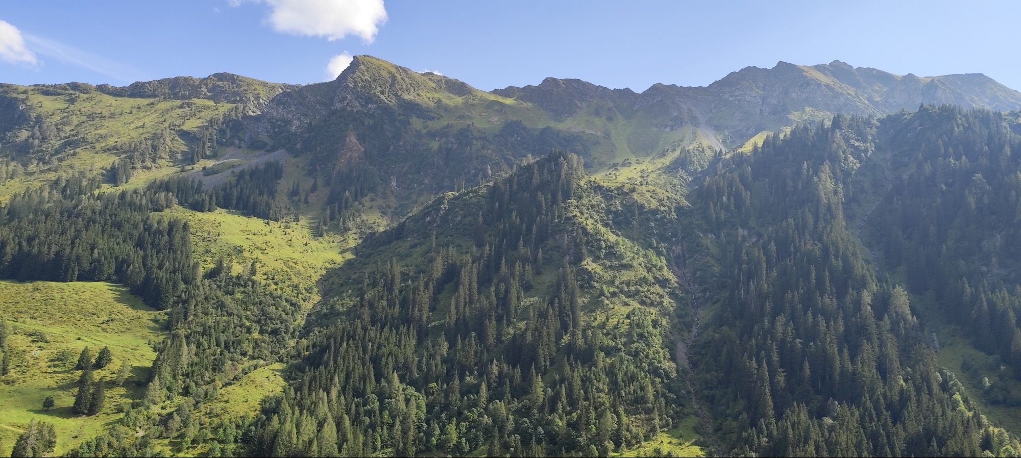 Grüne Berglandschaft