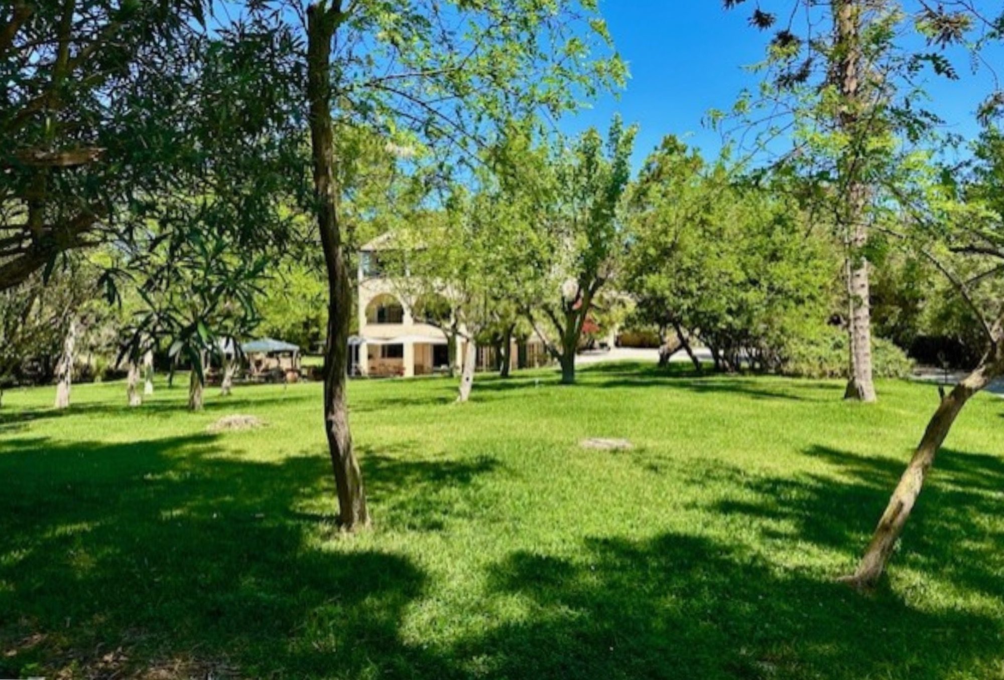 Die grüne Gartenanlage