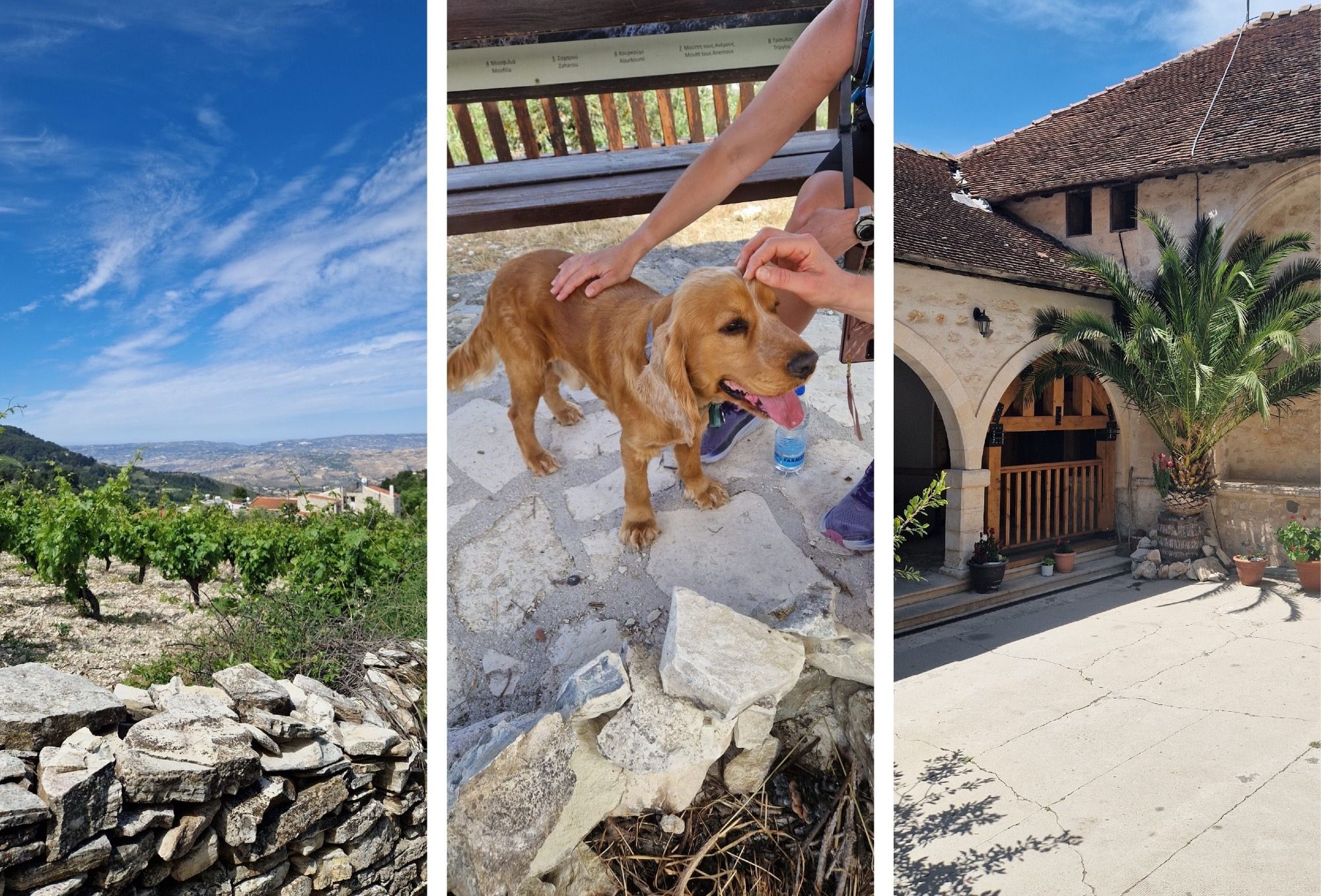 Bildcollage mit Auszügen der zweiten Wanderung zum Kloster