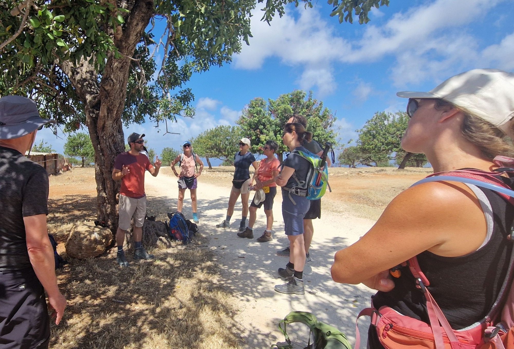 Die Reisetruppe stoppt und erhält Informationen über Flora und Fauna