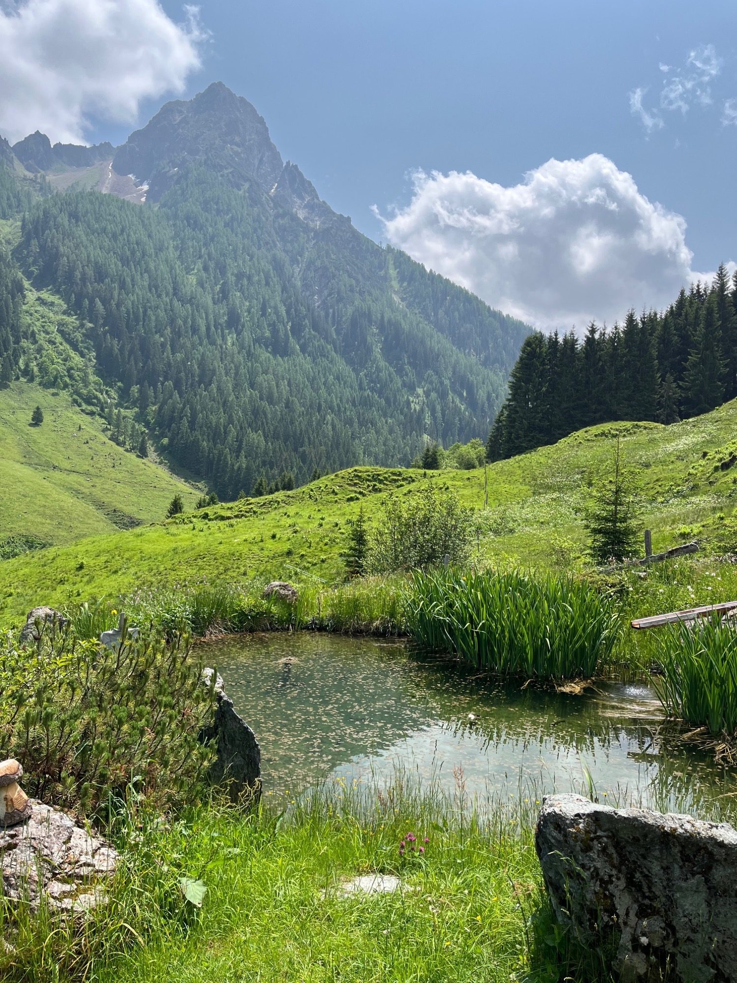 Fluss in der Landschaft