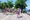 Frosch Gruppe