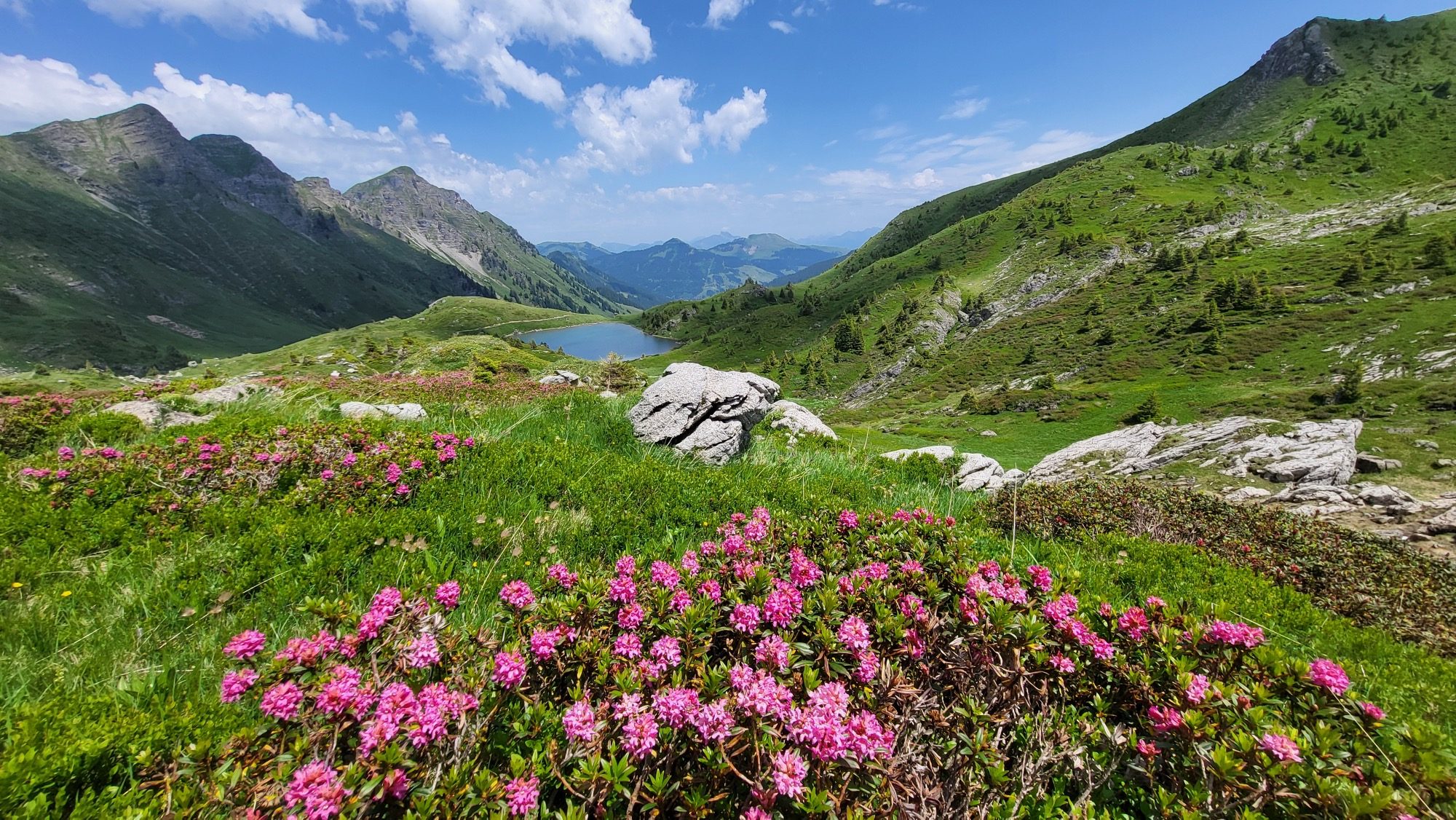 Blick auf den Lac de Chésery