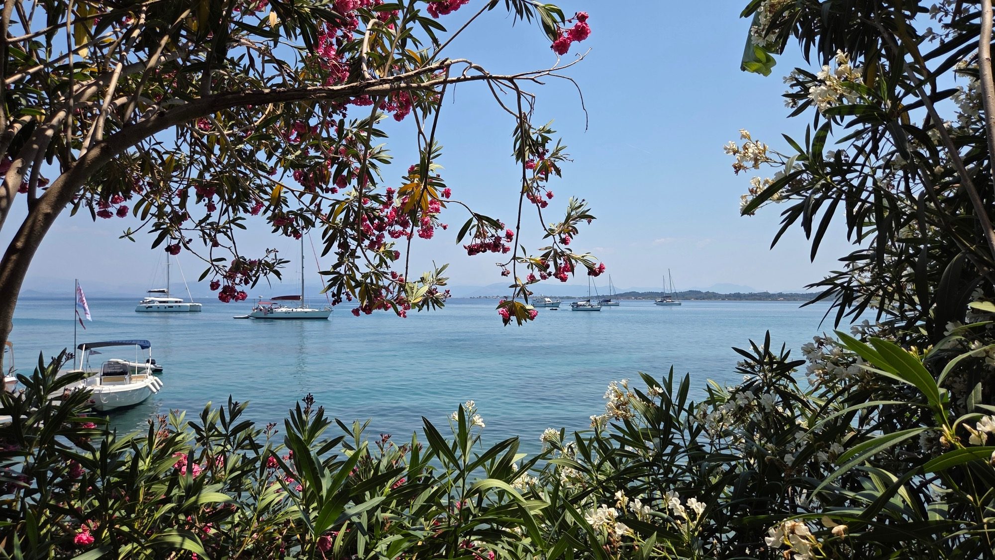 Postkartenmotiv Korfu