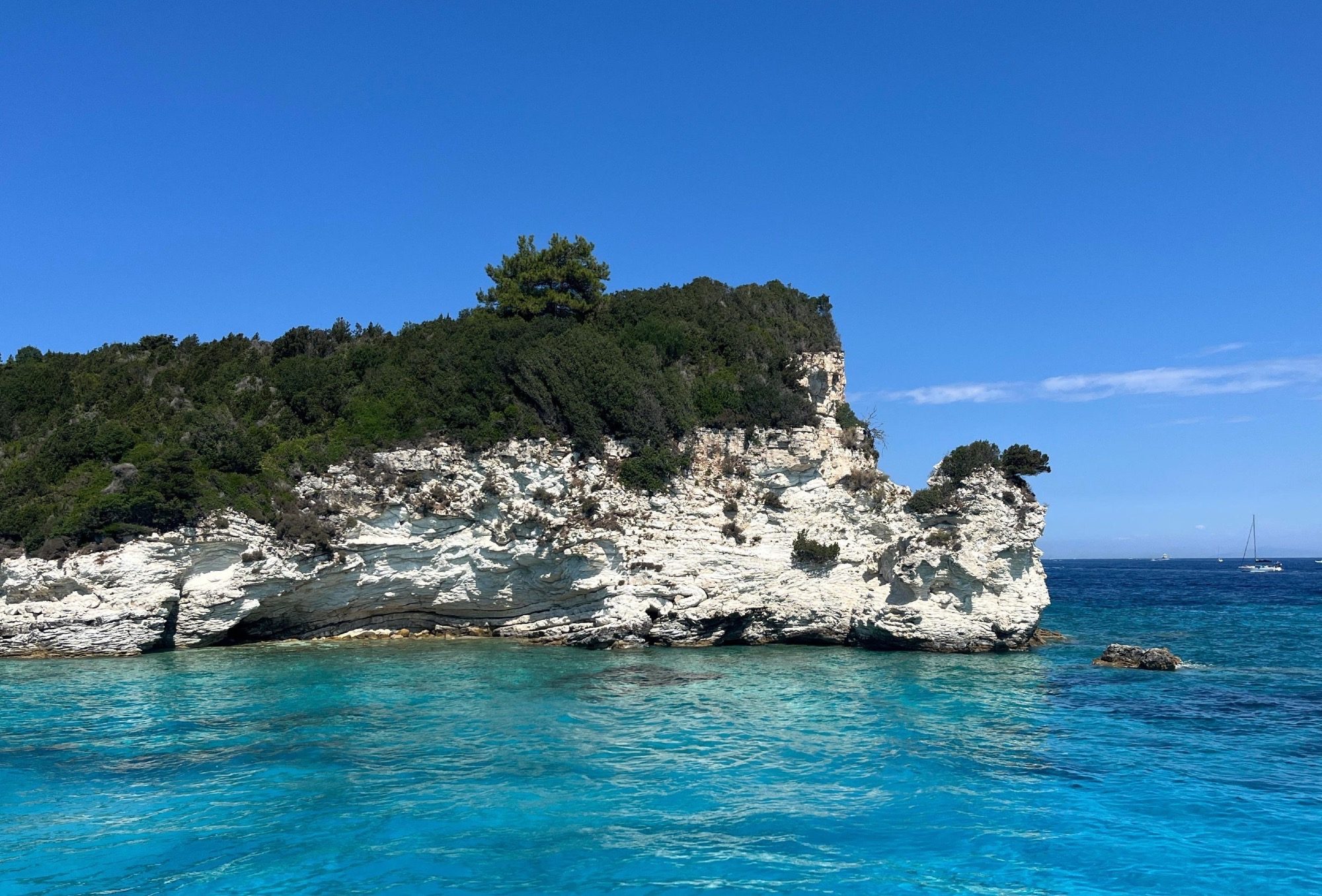 Antipaxos