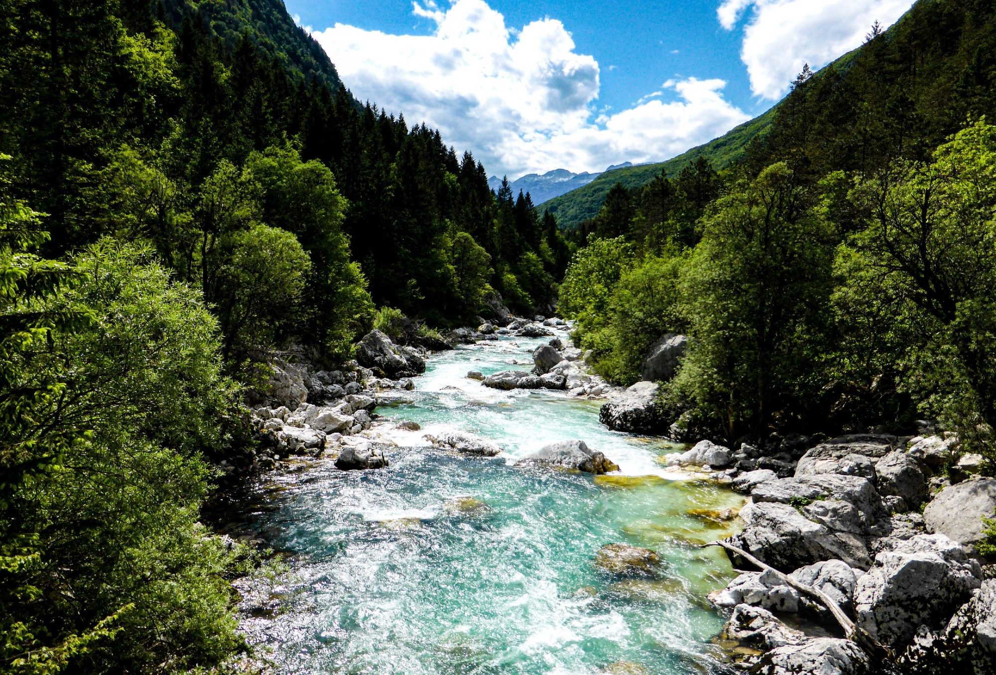 Alpe Adria Fluss