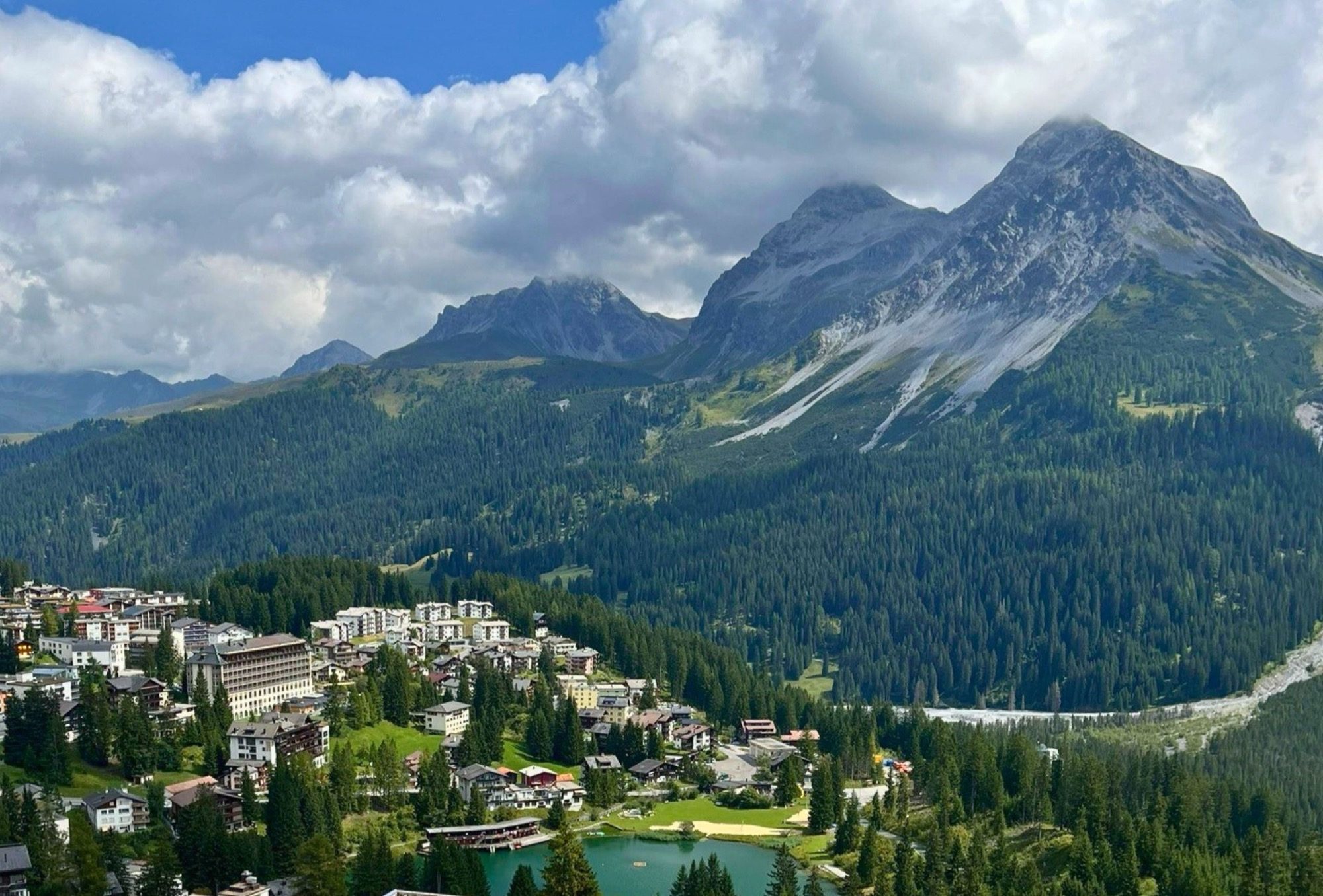 Zutrauliches Eichhörnchen