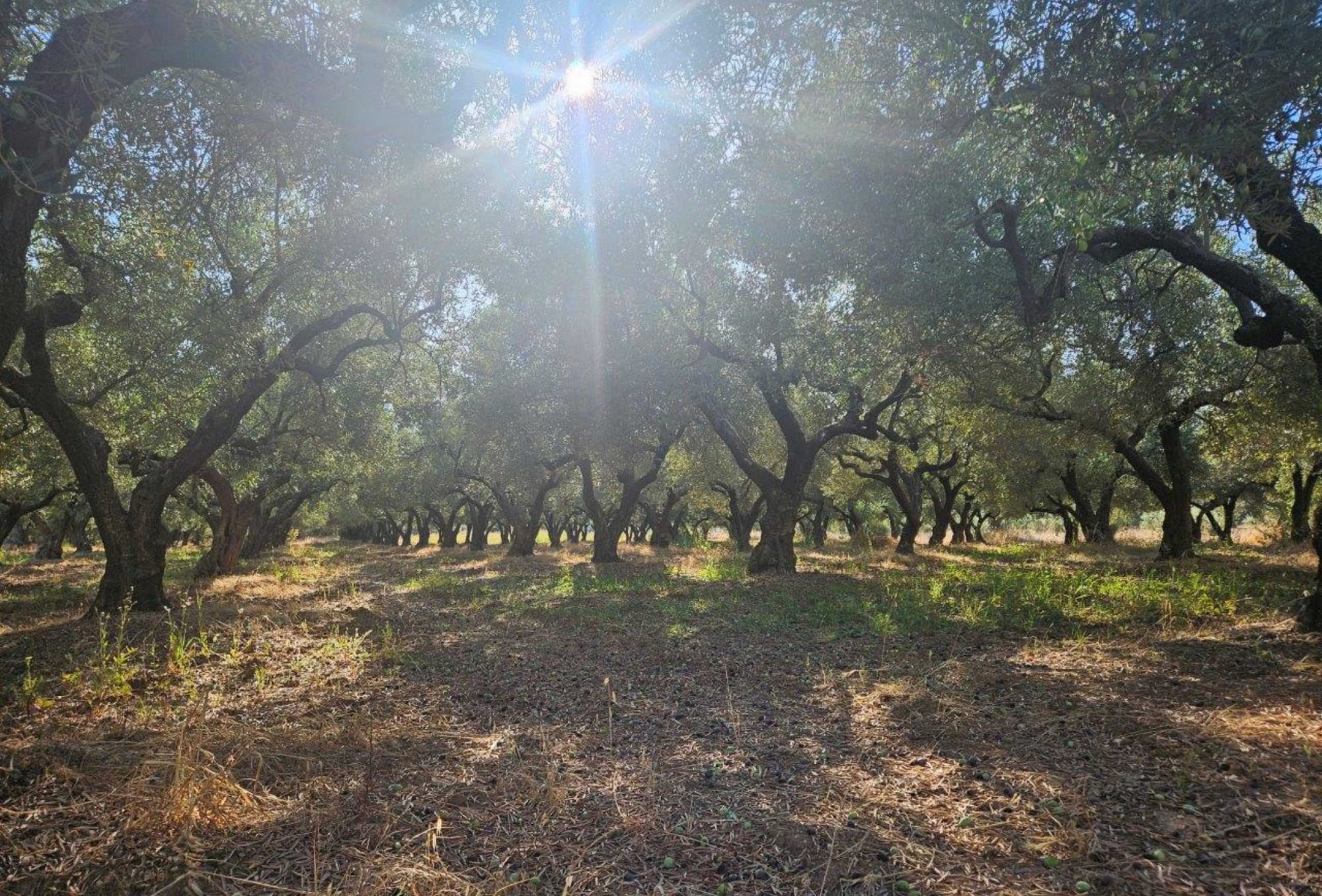 Griechenlands Landschaft