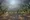 Griechenlands Landschaft