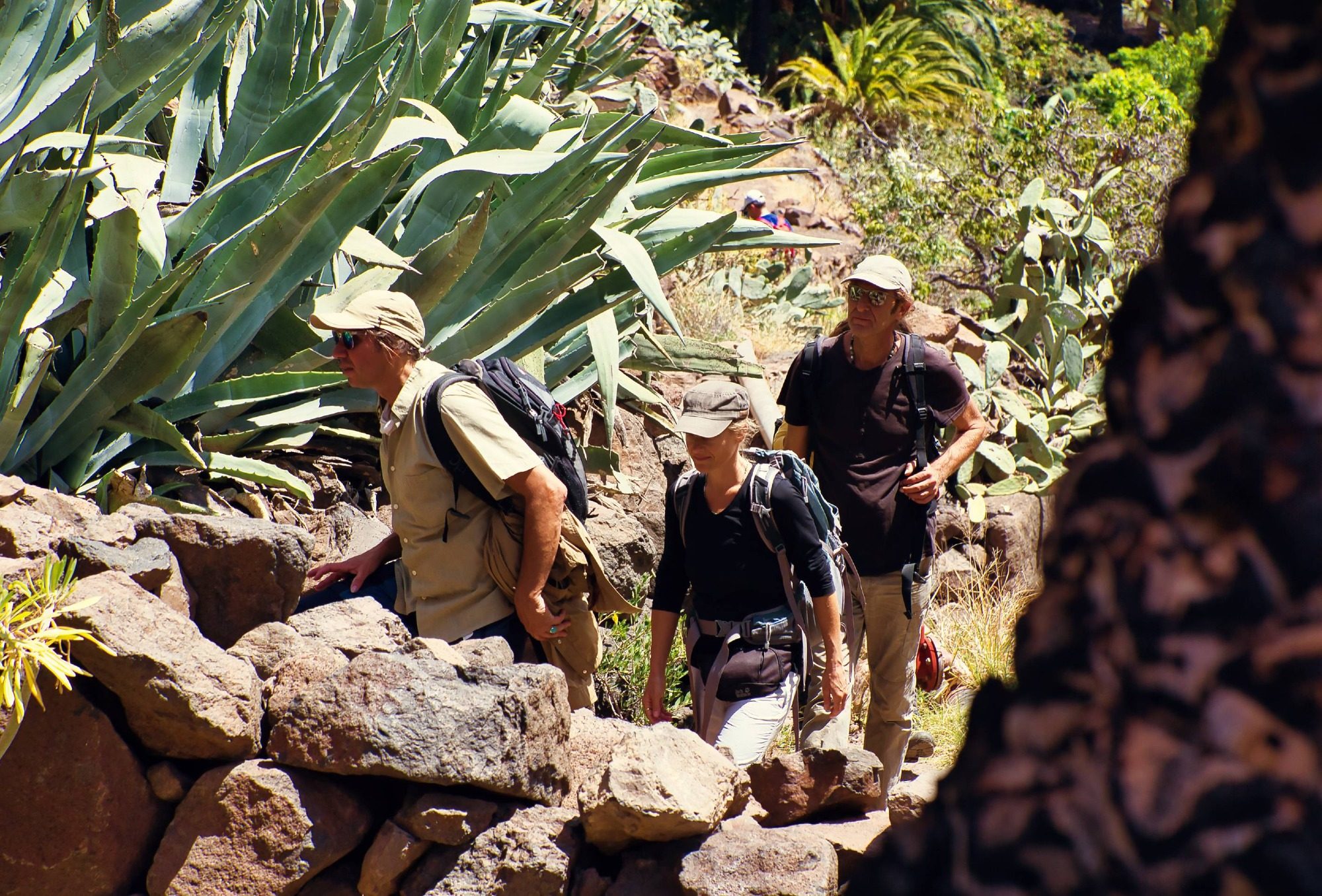 Wanderer auf La Gomera
