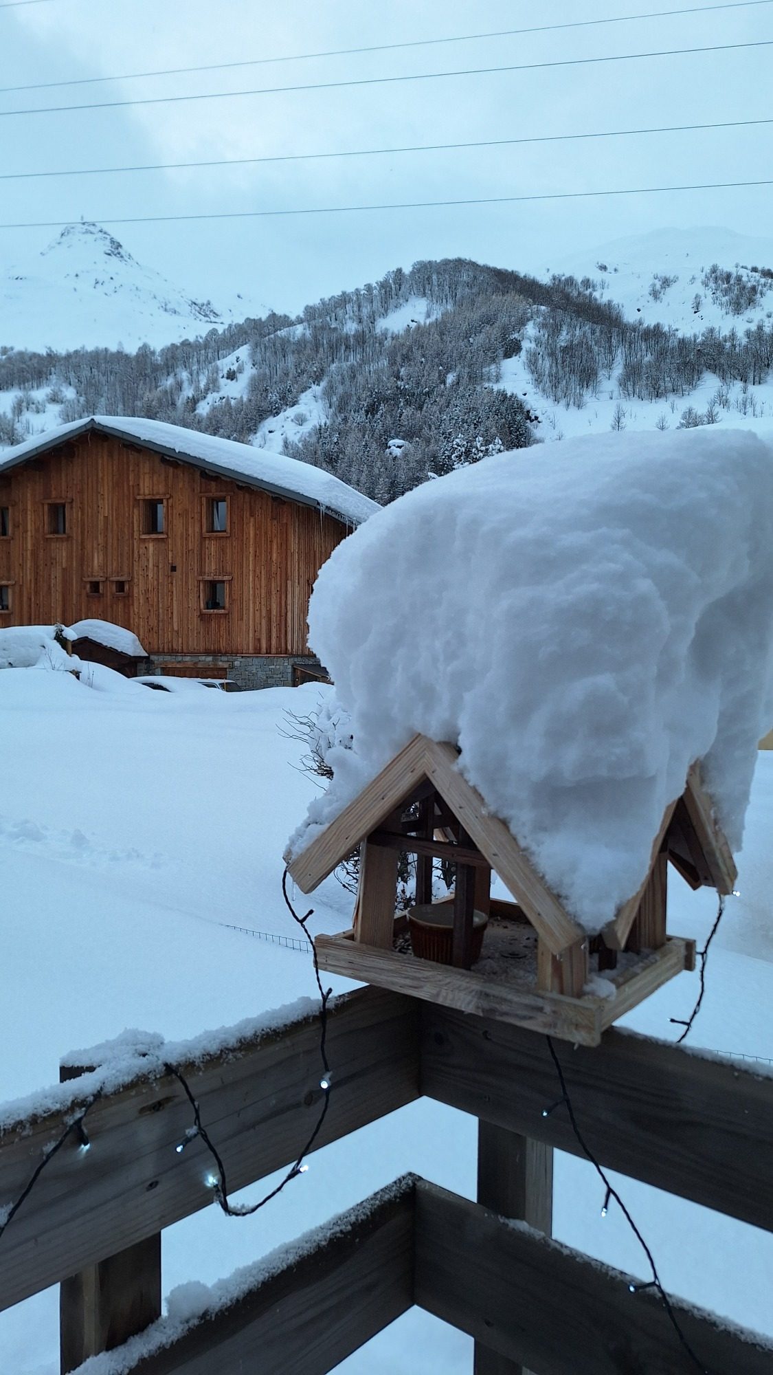 Vogelhaus mit Schnee