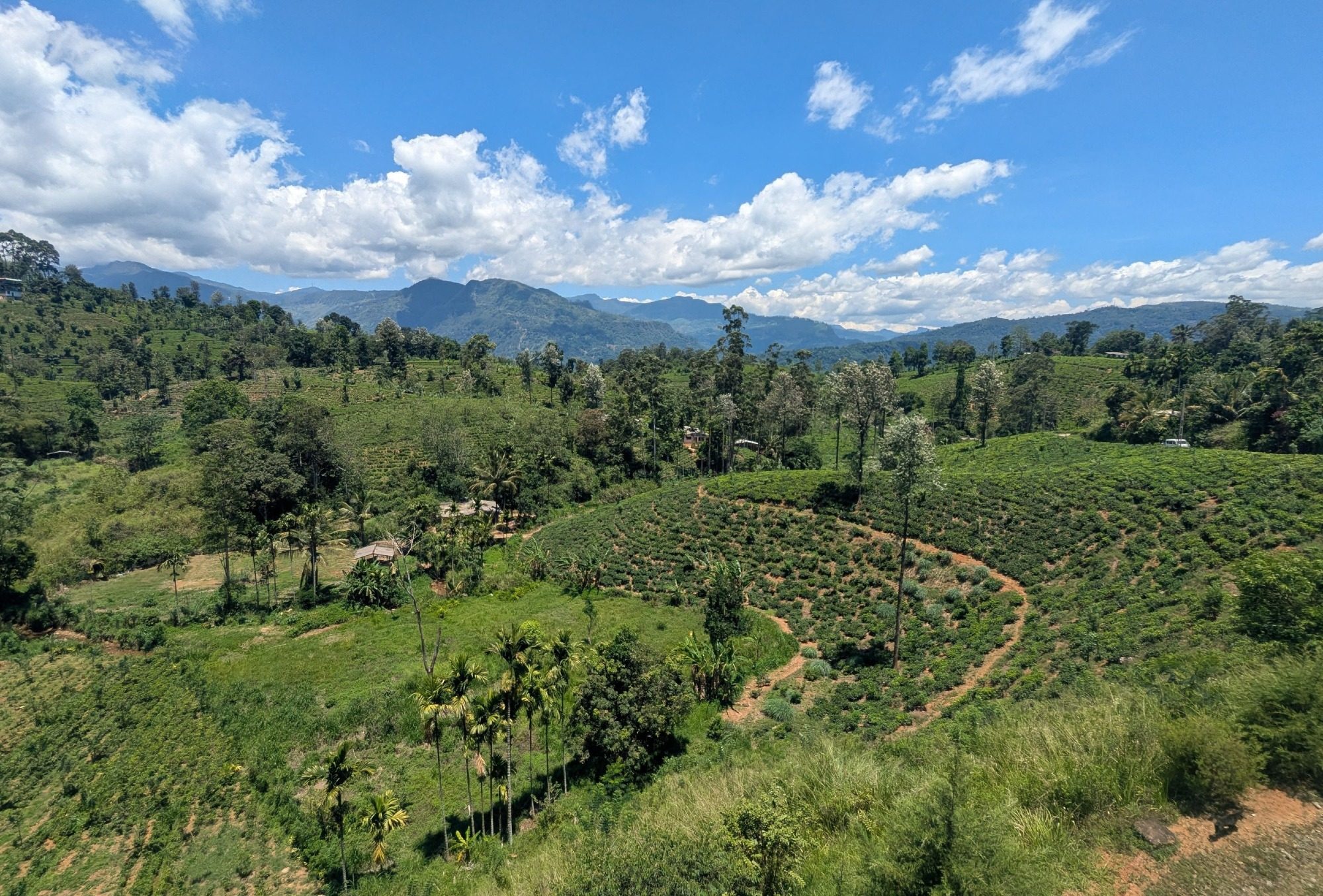 Landschaft in Sri Lanka