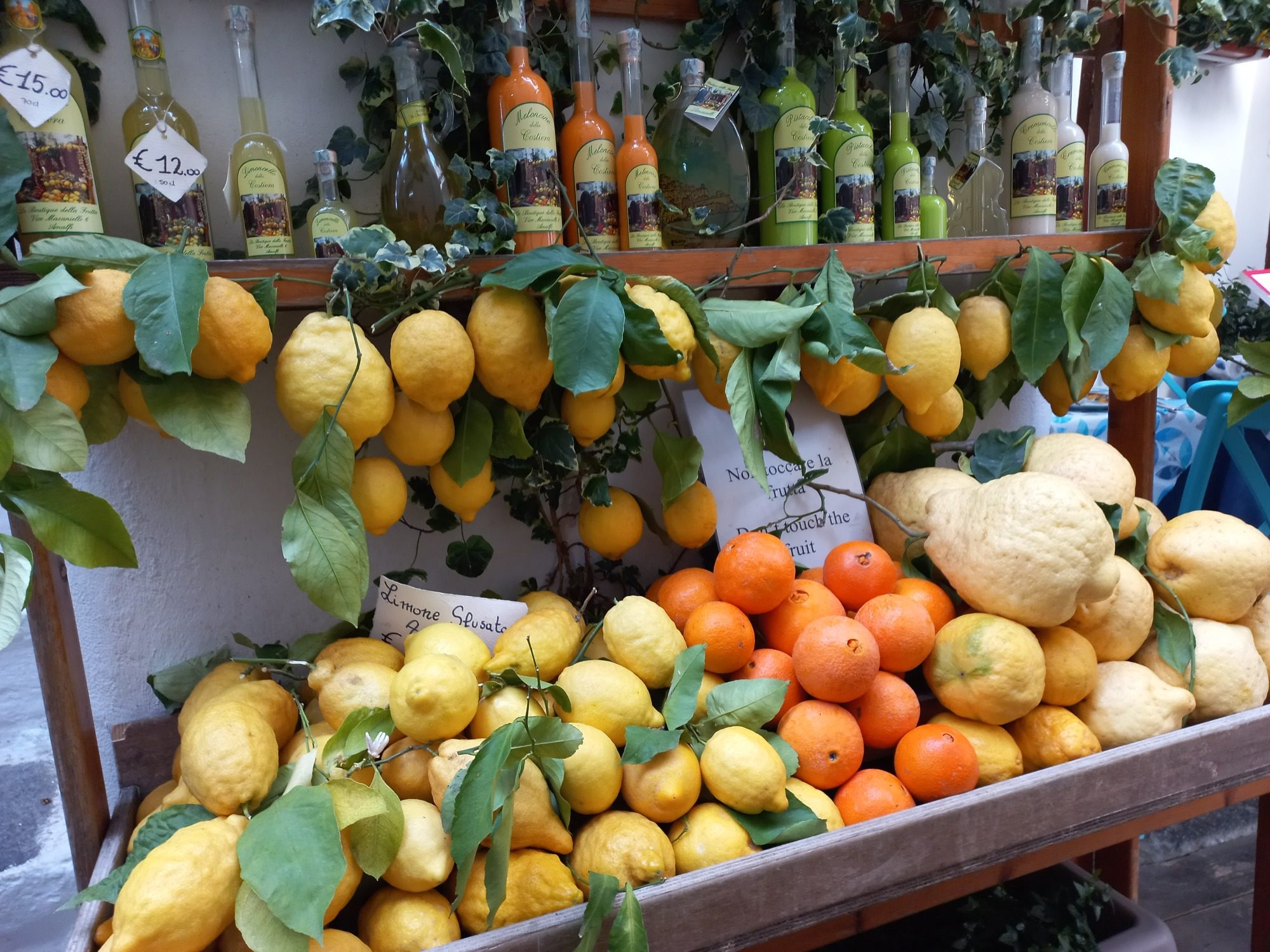 Frische Zitronen und Orangen