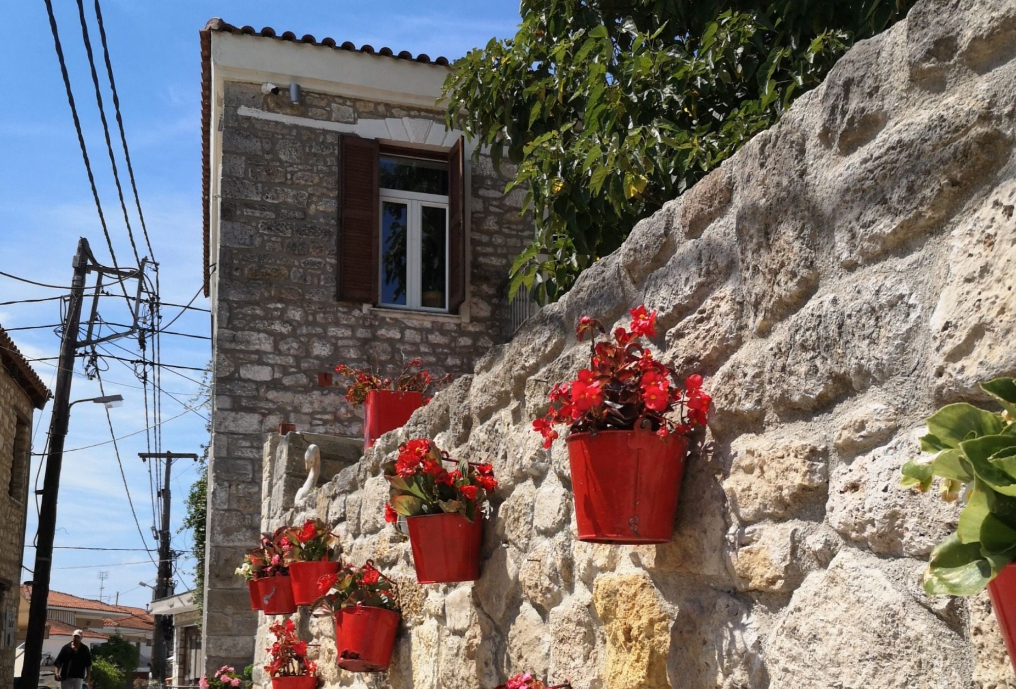 Mauer mit Blumen