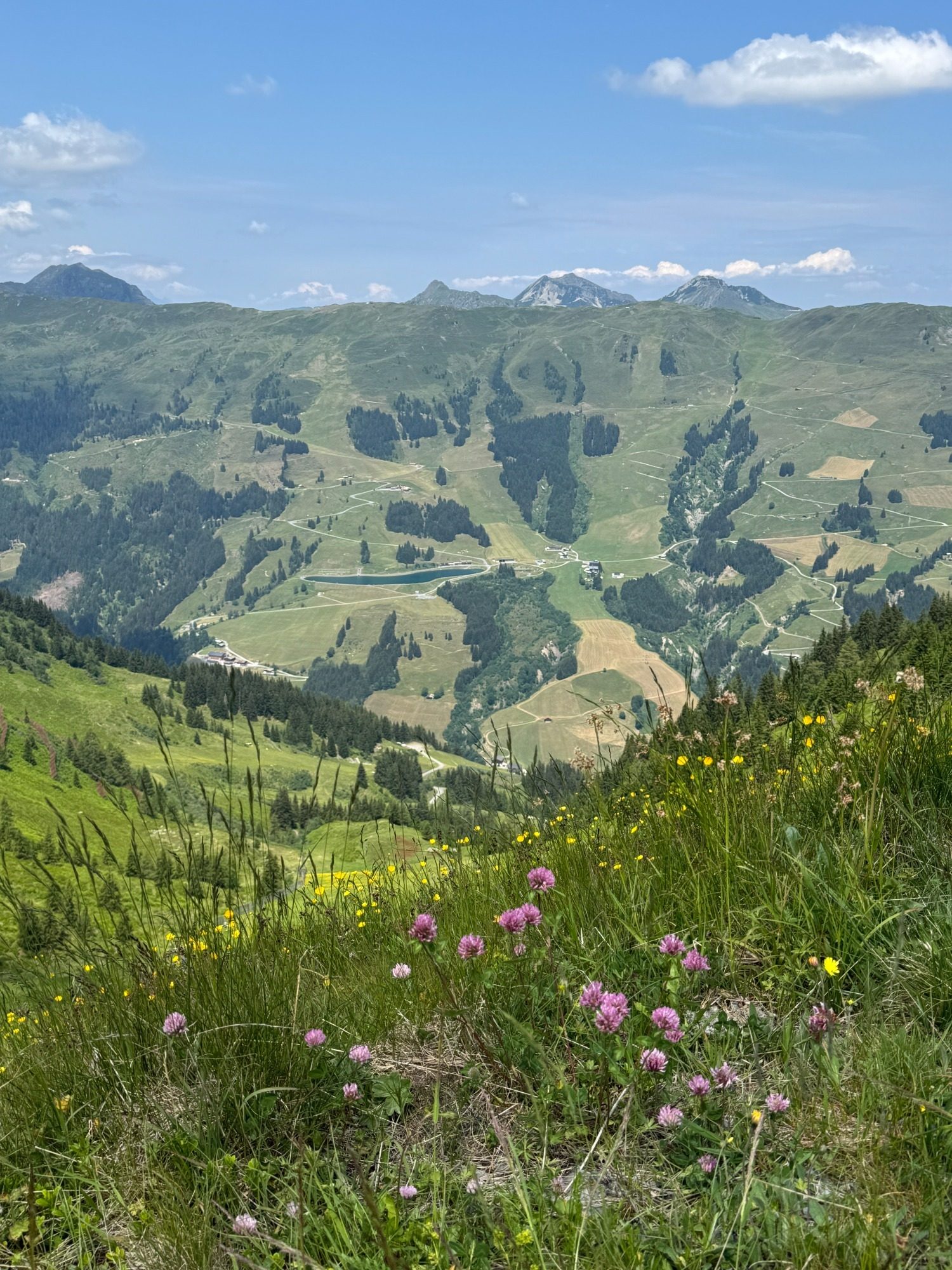 Berge
