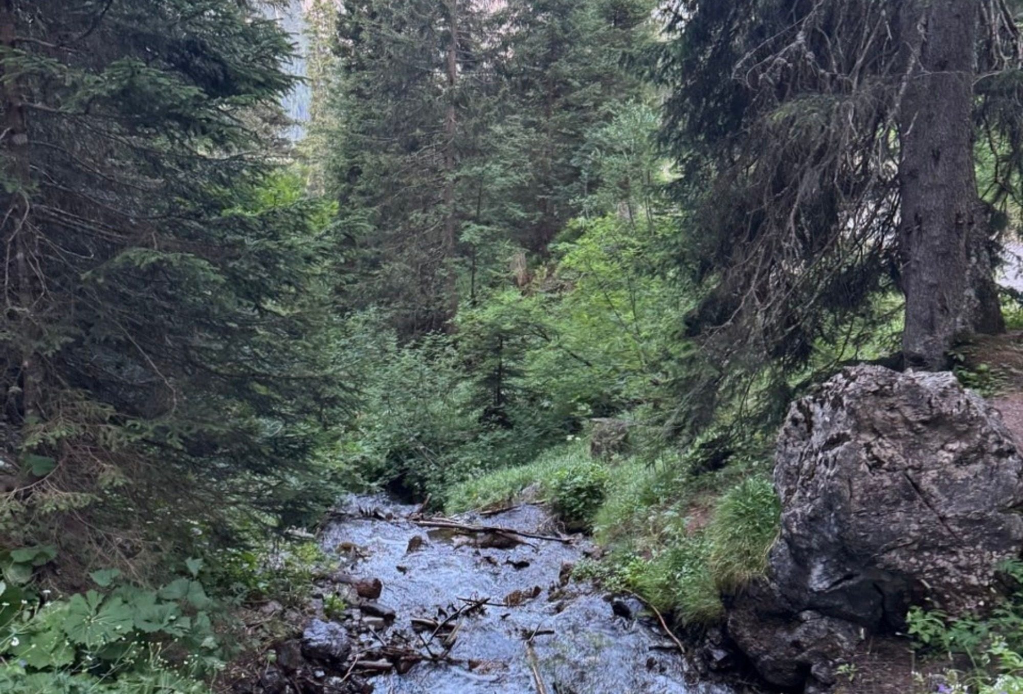 Bach in Arosa