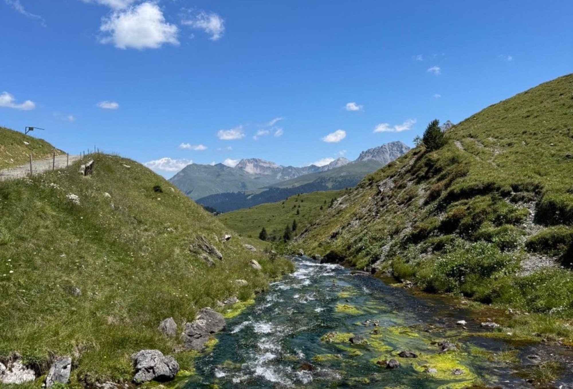 Bach in Arosa