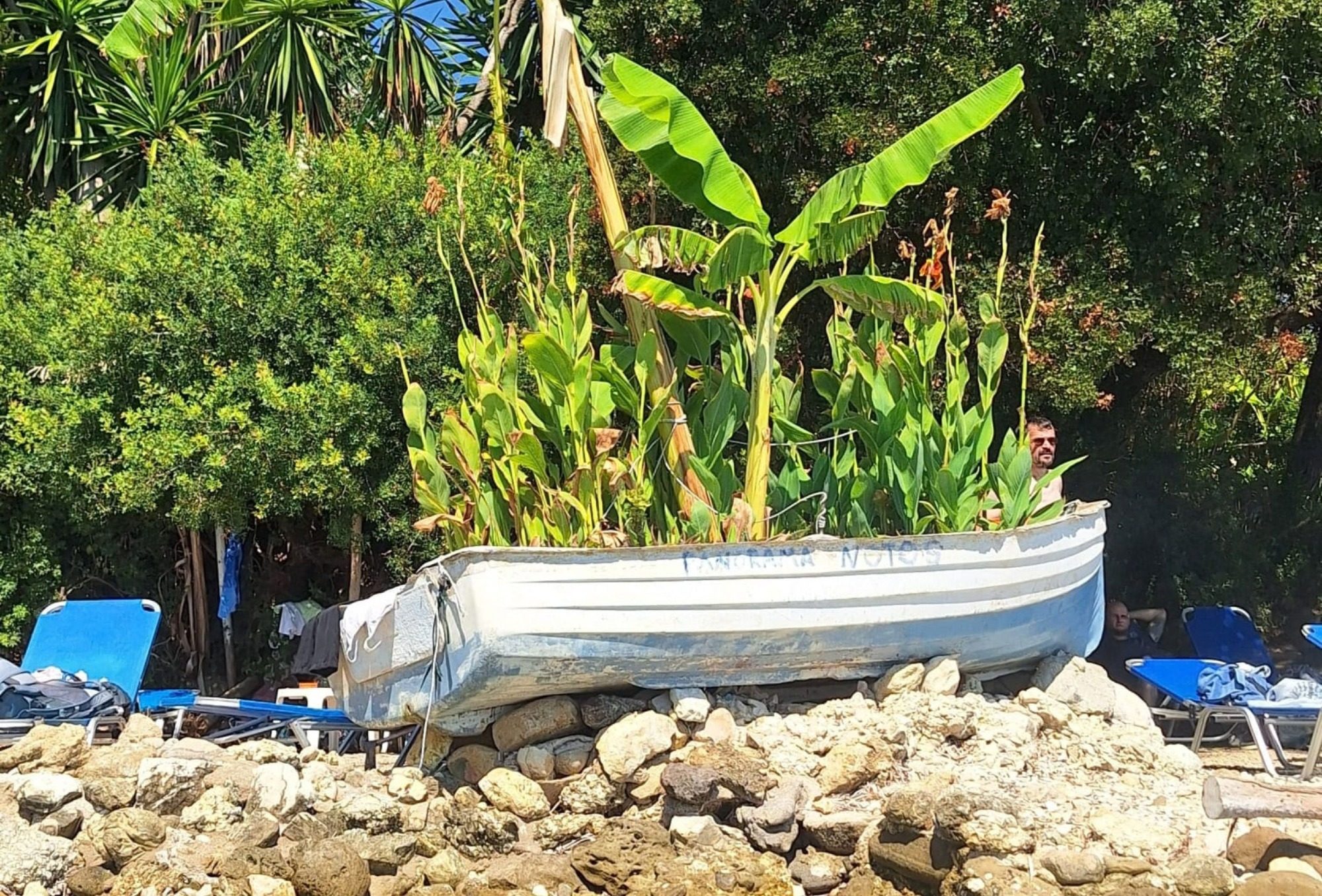 Boot mit Pflanzen