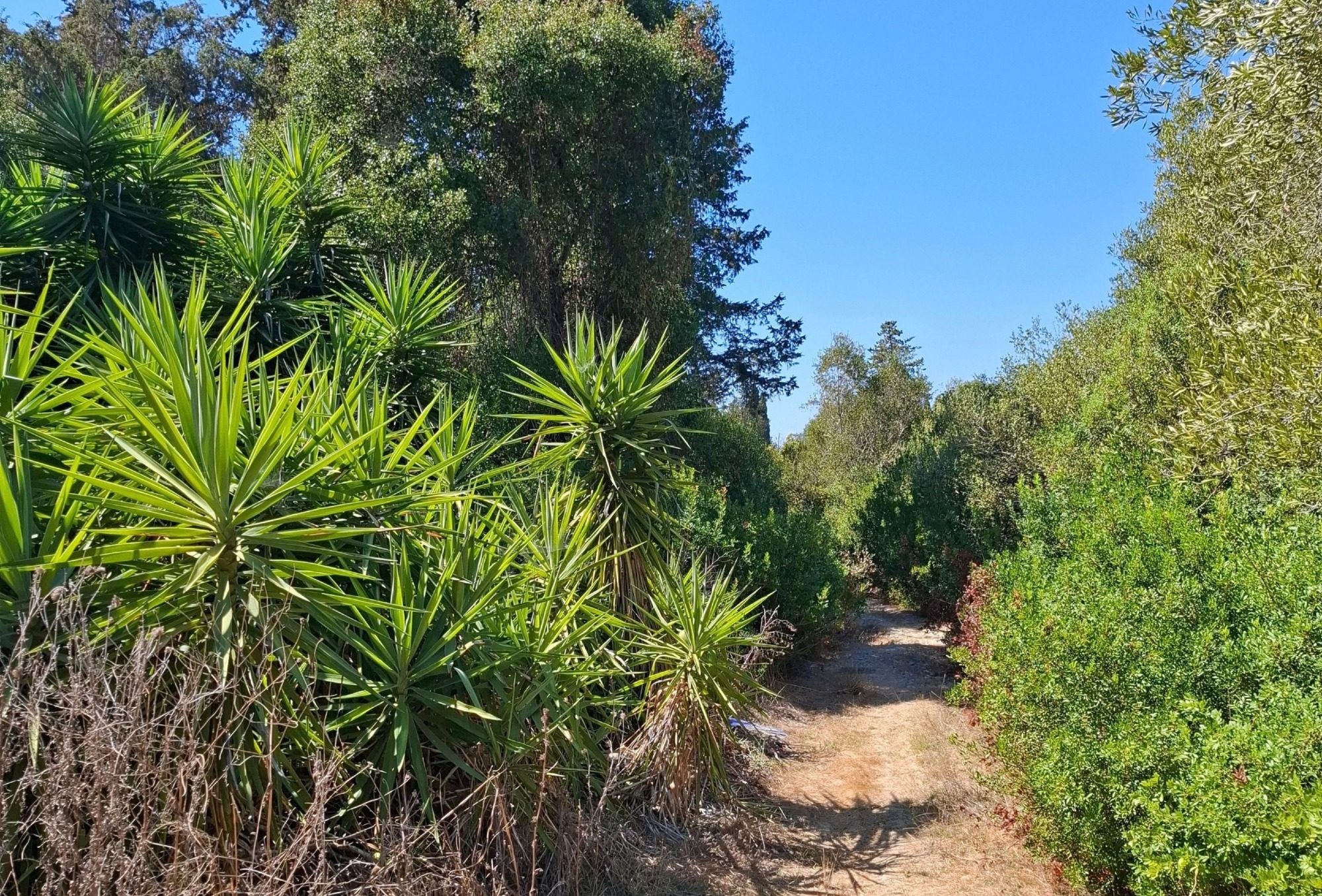 Wanderweg auf Korfu