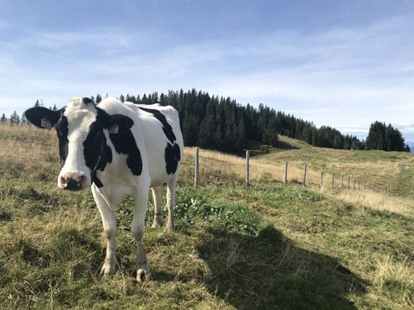 Westendorf September 2017