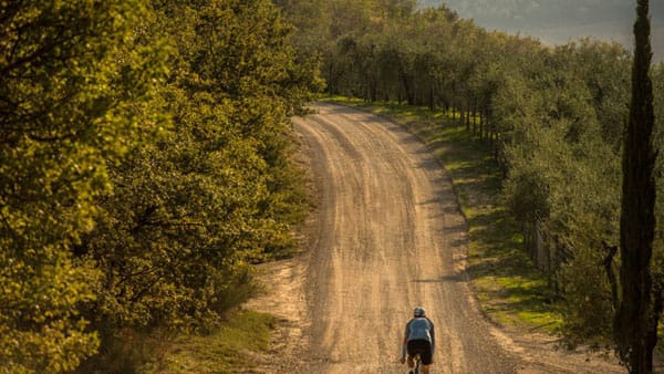 Rauf und runter geht es für die Teilnehmer in der Toskana