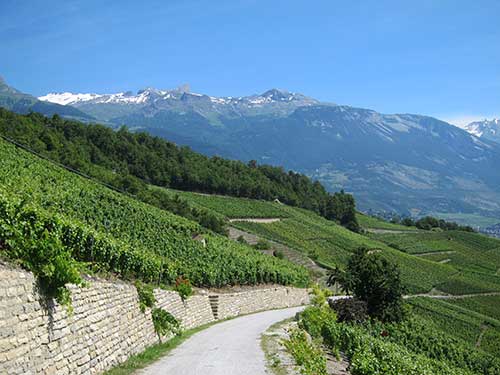 Die Biketouren sind abwechslungsreich