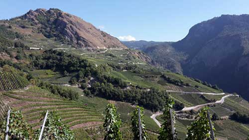Der Sportclub Carlton im Spätsommer