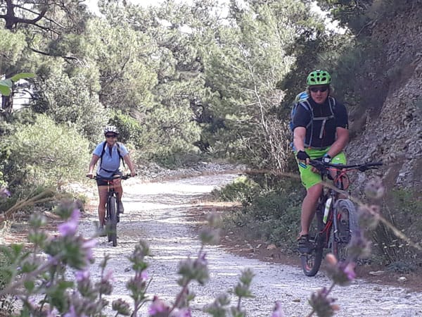 Mario redet jeden hoch und runter.