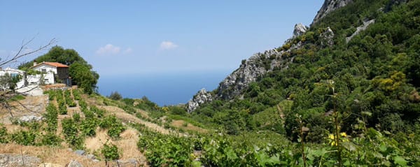 Weg zum Lazarus-Pass