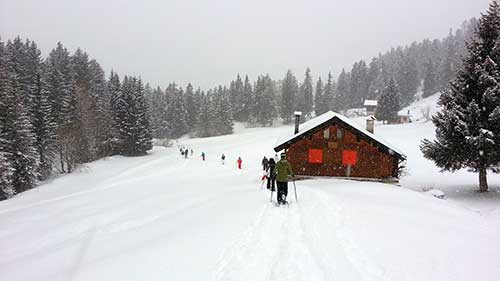 Schneeschuhwanderung bei Schneefall