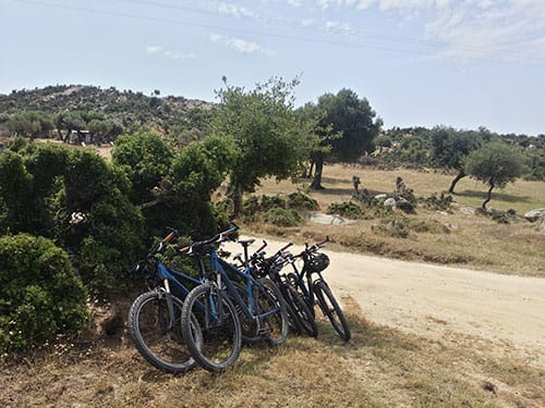 Natur pur auf den Biketouren.