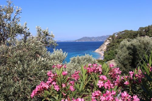 Blick auf Tsamadoú Beach, ein paar Schritte vom Hotel