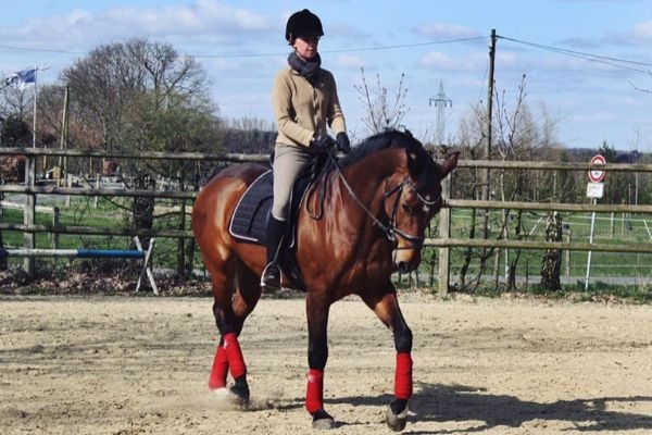 Nele fährt zum Pferd