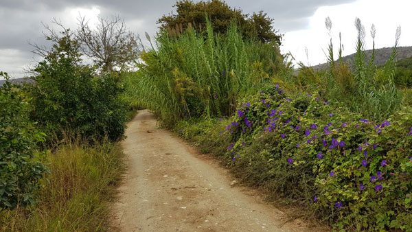 Bild 6 Kreta September 2020