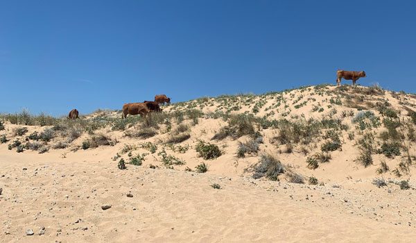 5 Geheimtipps Andalusien