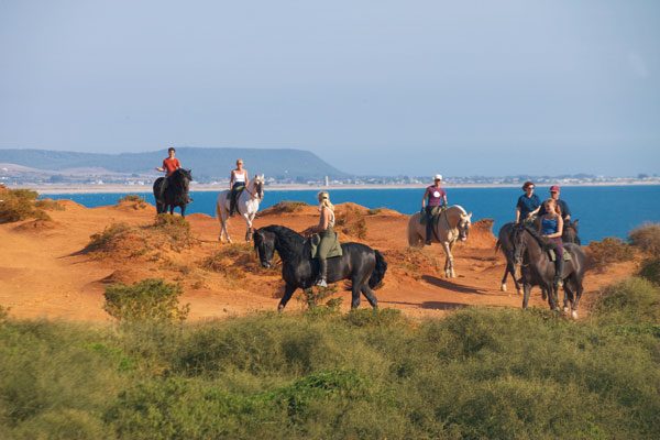 4. Geheimtipp: Ausritt auf andalusischen Hengsten