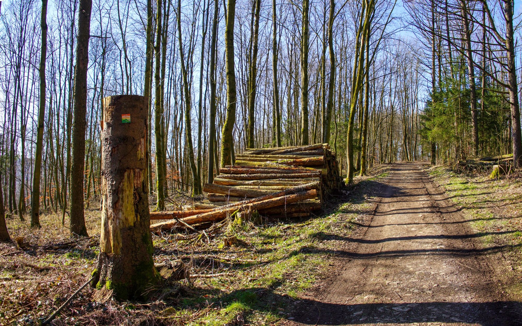 Teutoburger Wald