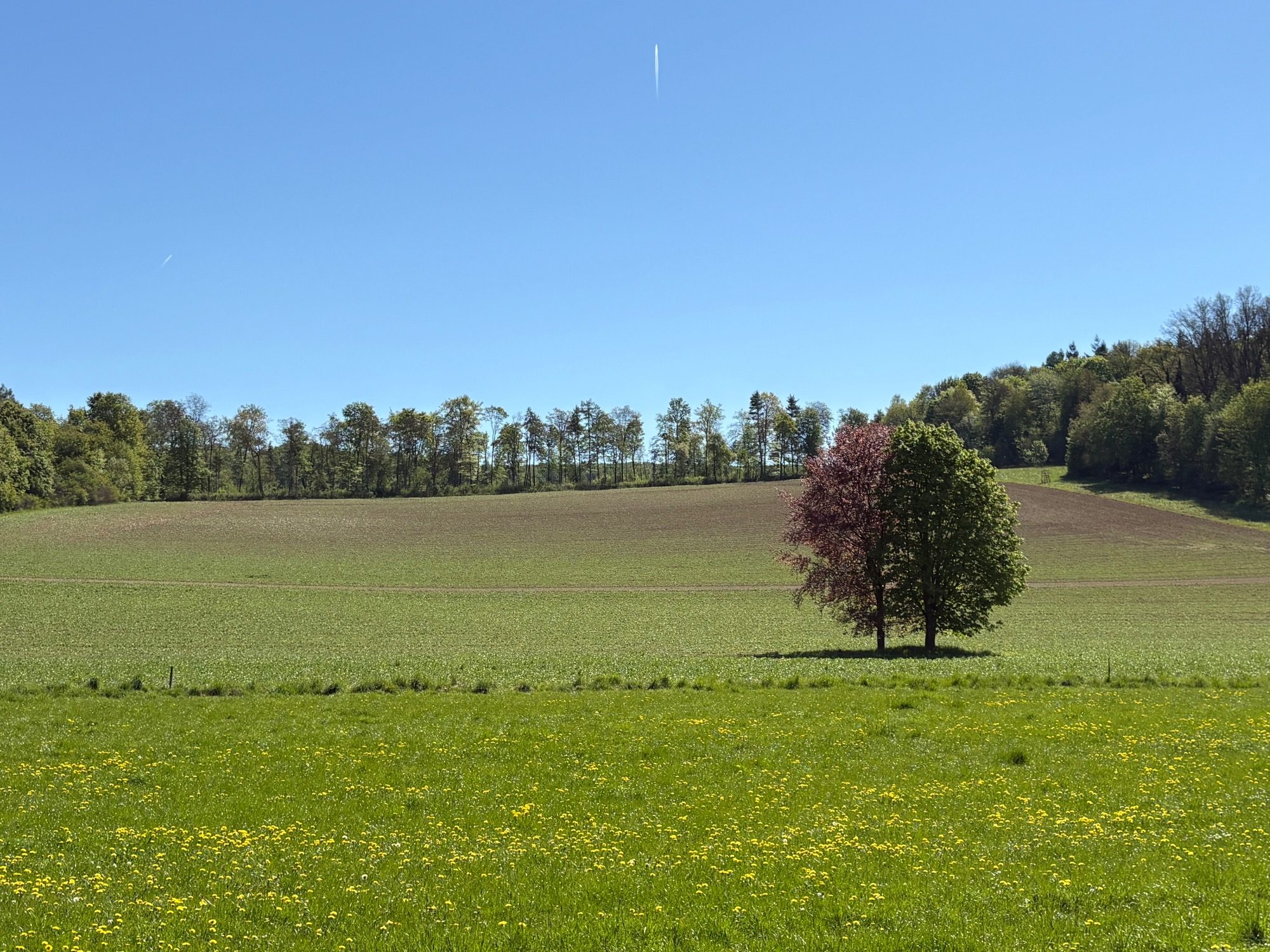 Alter Pilgerweg Paderborn